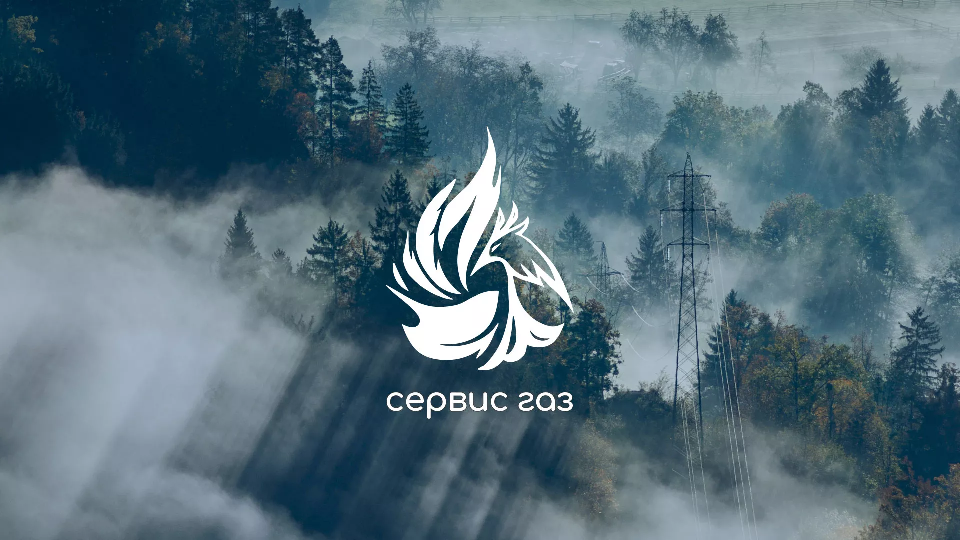 Создание сайта компании «Сервис газ» в Пестово