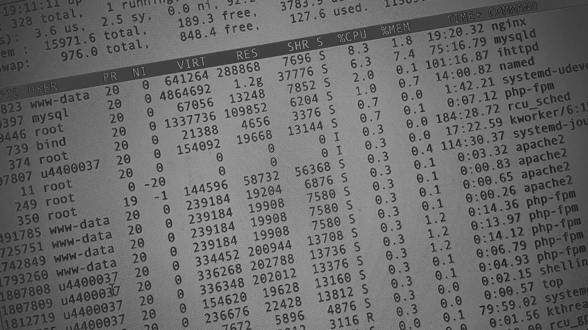 Настройка сервера в Пестово