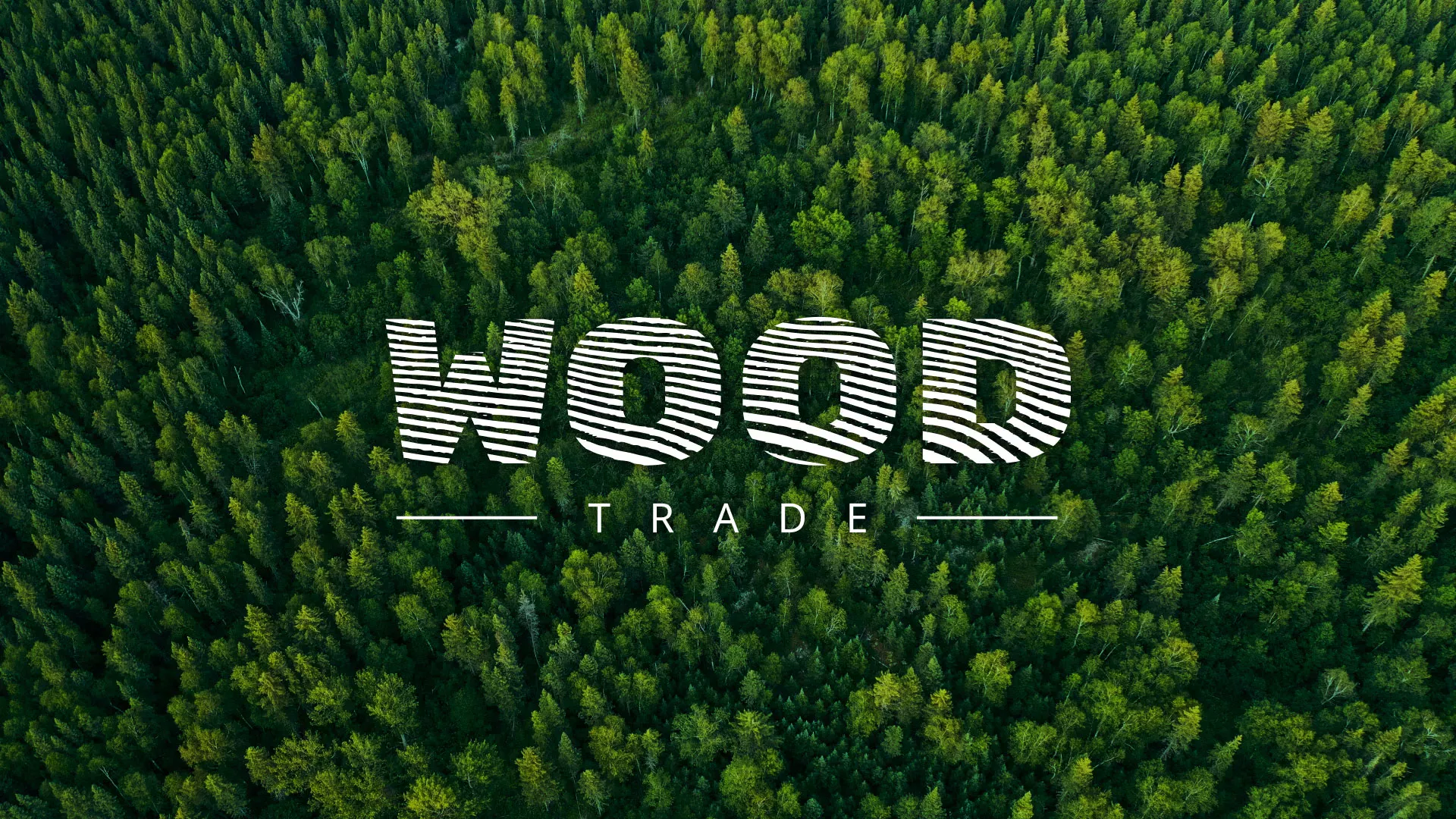 Разработка интернет-магазина компании «Wood Trade» в Пестово