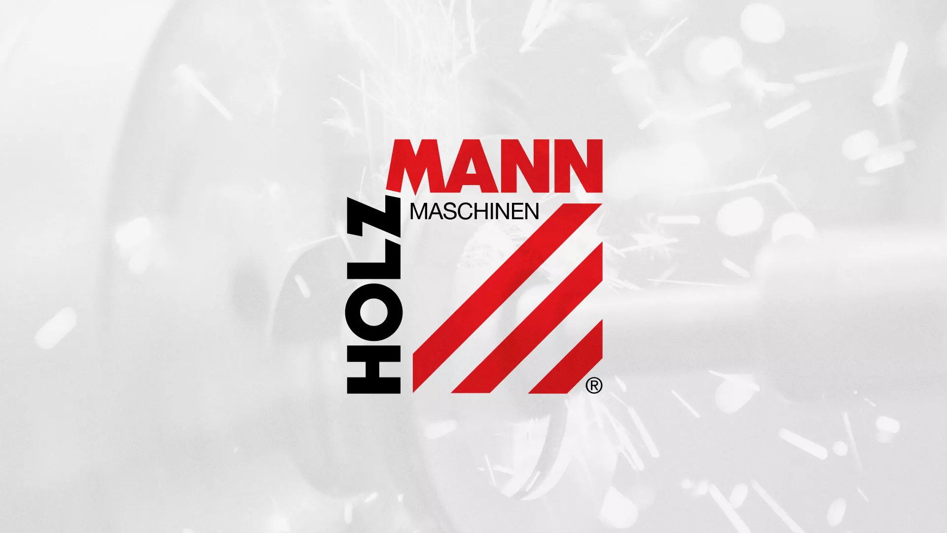 Создание сайта компании «HOLZMANN Maschinen GmbH» в Пестово