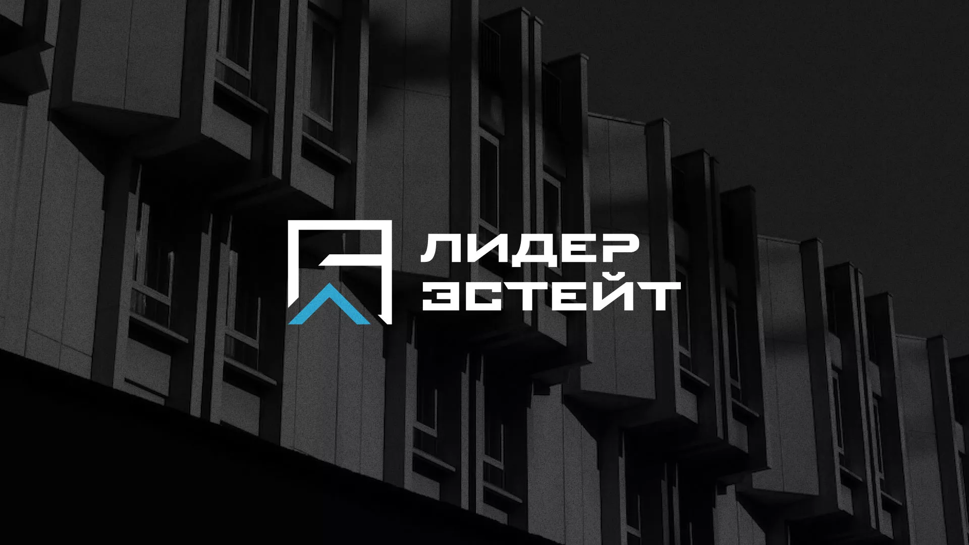 Разработка логотипа агентства недвижимости «Лидер Эстейт» в Пестово